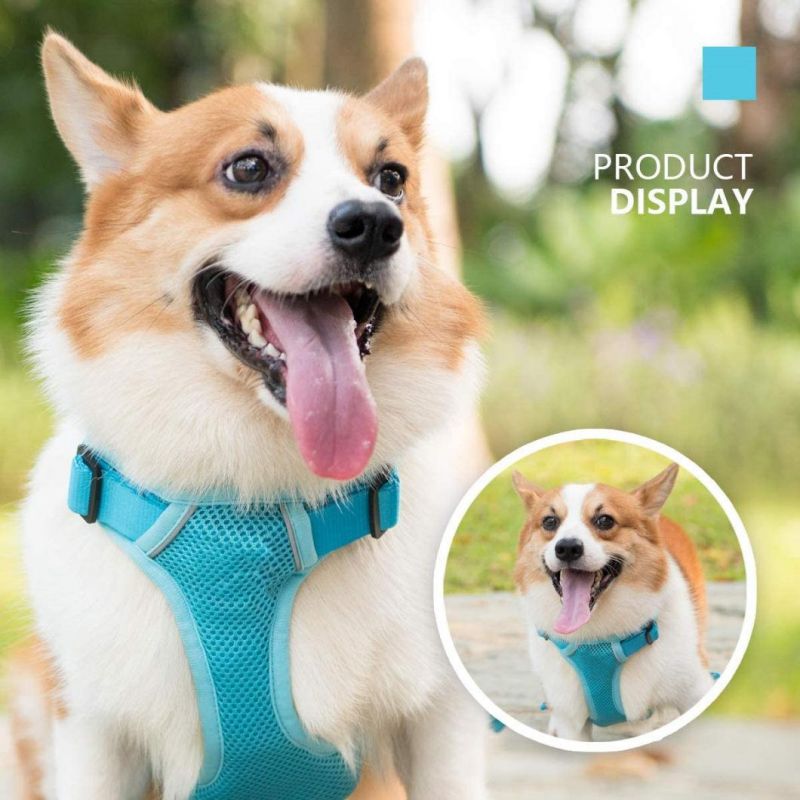 Skin-Friendly, Soft, Cushioned, Comfortable and Well Made Mesh Dog Harness