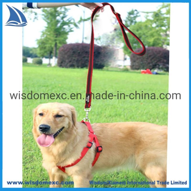 Red Pet Collar Clip Rope Leash for Personalize Dog