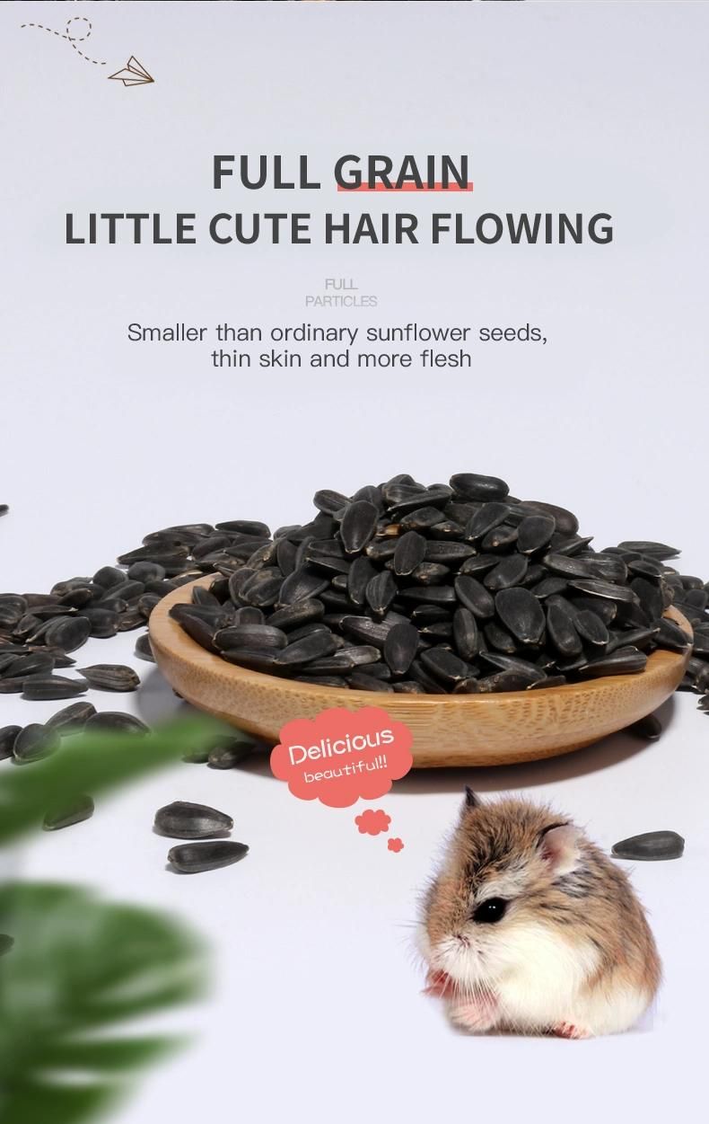 Wholesale Squirrel Hamster Snacks Staple Black Sunflower Seeds Pet Products