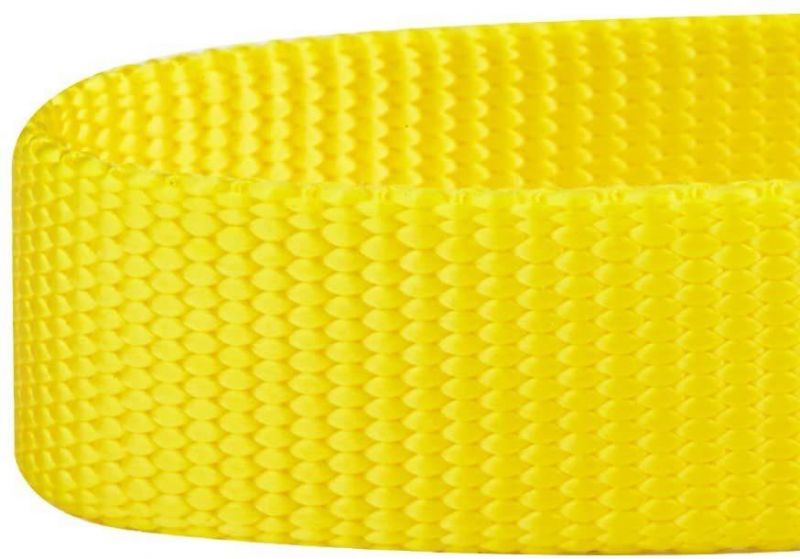 Personalized Collar Regular & Martingale Collars