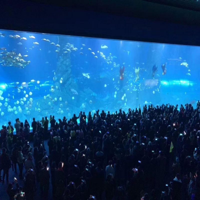 World Guinness Records for Acrylic Panel Aquarium Project
