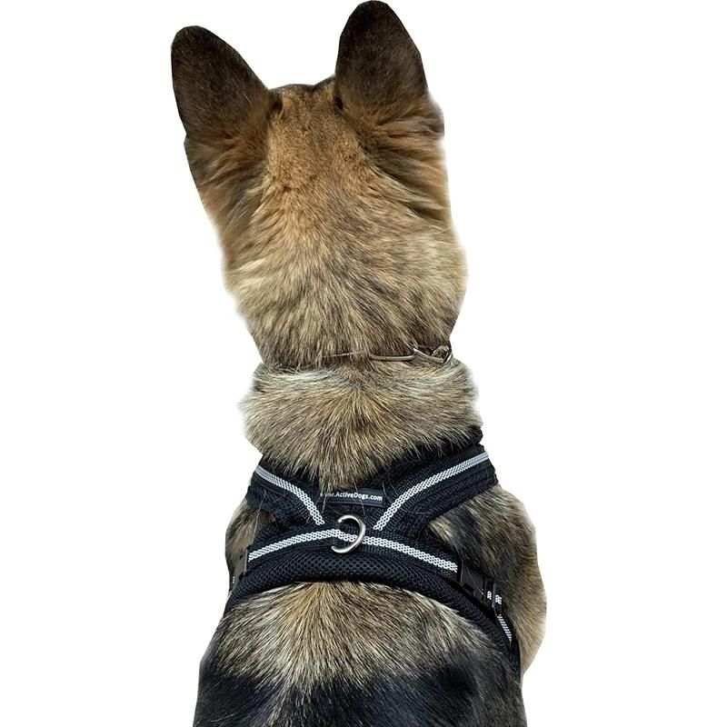 Adjustable Padded Mesh Dog Harness, Easy and Convenient Dog Safety Harness for Small Medium Large Dogs
