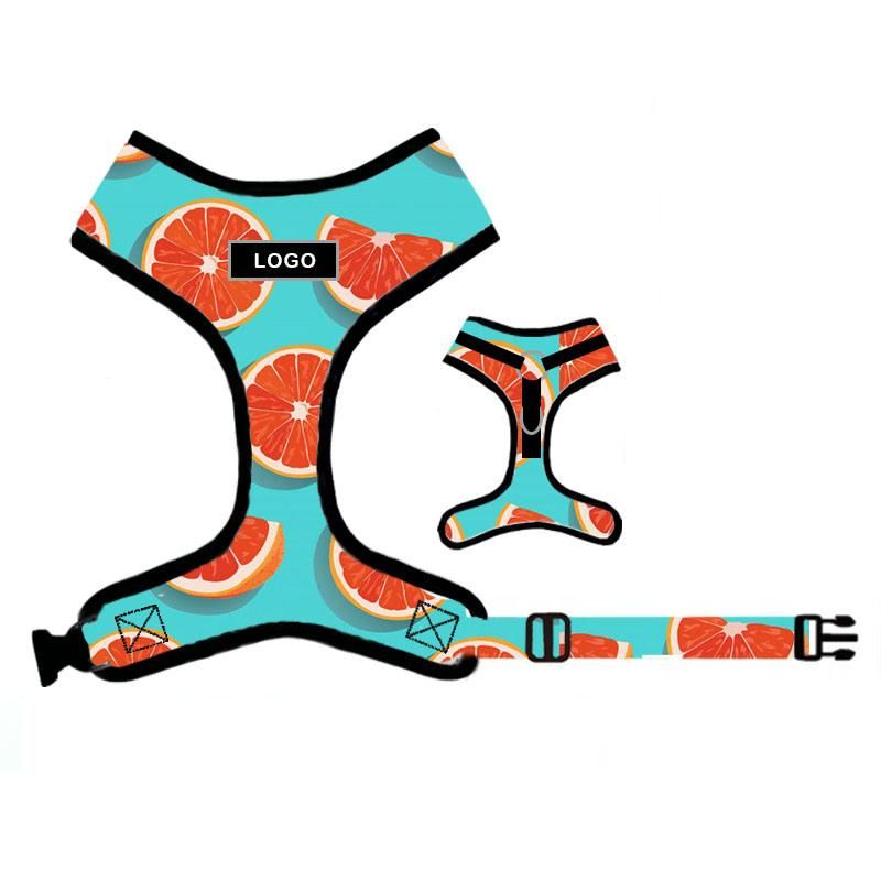 Adjustable Pattern Logo Many Sizes Leash Poop Bag Collar a Set Dog Harness