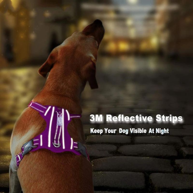 Mesh Dog Harness with 2 Sturdy Metal Leash Attachment