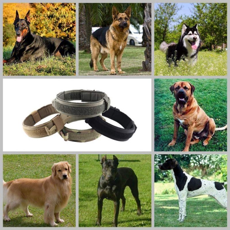Adjustable Military Nylon Heavy Duty Metal Buckle with Control Handle Tactical Dog Collar