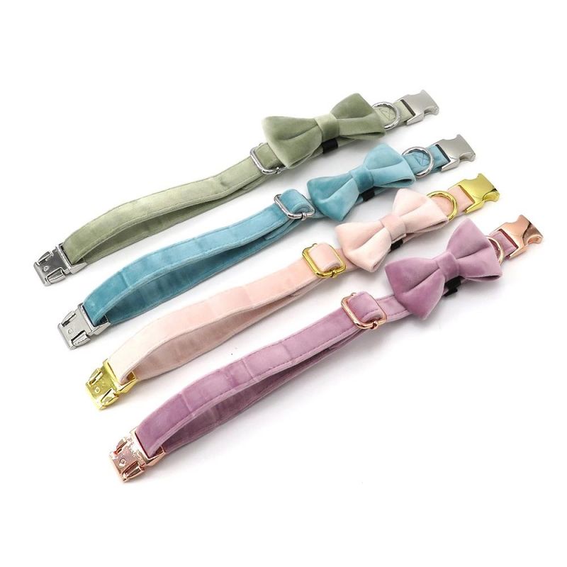 Luxury Accessories for Pets Velvet Adjustable Metal Buckle Dog Collar with Removable Bowtie