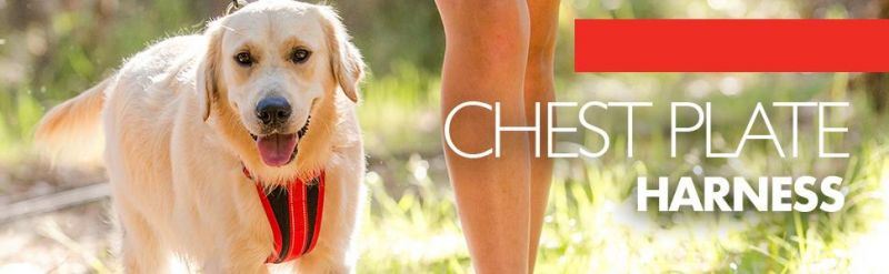 Premium Reflective No-Pull Padded Comfort Harness, Best Dog Product