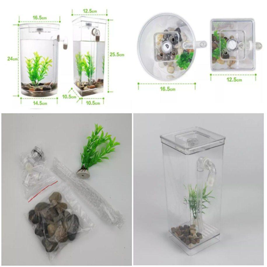 Customized Acrylic Fish Tank External Filter Can Be Placed on The Desktop