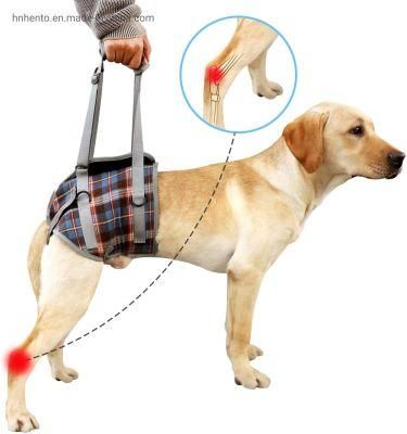 Custom Dogs Balance Support Dog Hind Legs Auxiliary Belt for Recovery Disability