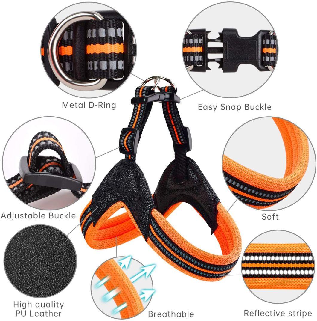 Easy to Use Mesh Padding Dog Harness