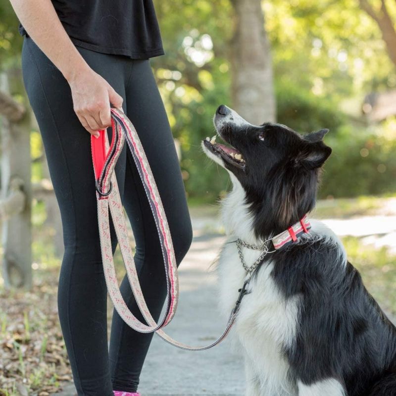 Highly Visible Reflective Webbing Soft Padded Dog Leash for Large Dog