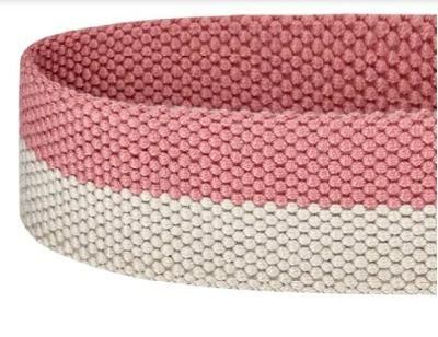 Basic Classic Padded Pet Collars Leash Set with Metal Buckle