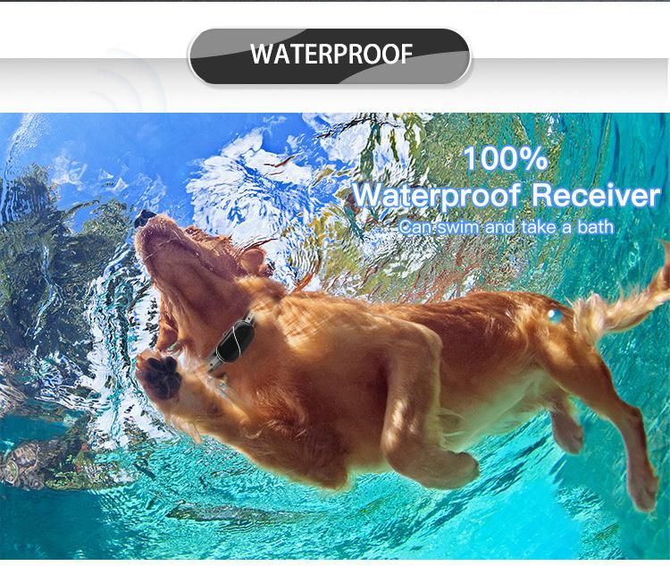 Amazon Top Seller Best Waterproofe Electronic Remote Electric Pet Dog Training Collars
