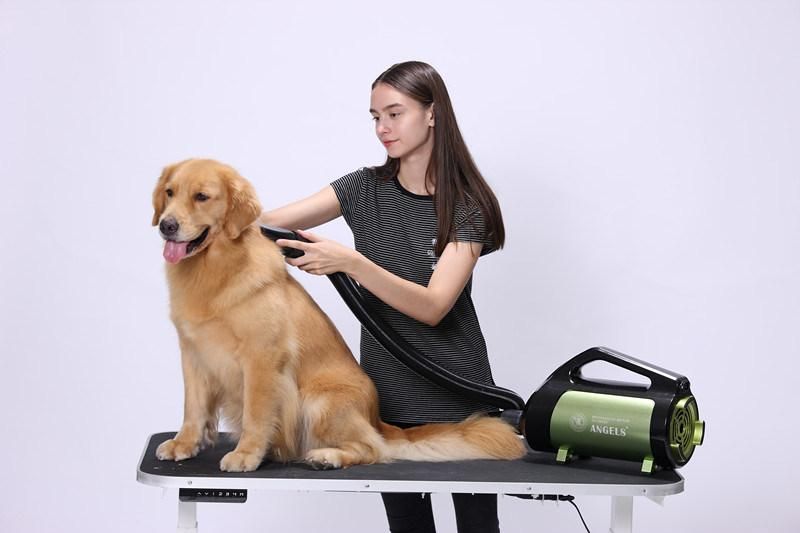 Pet Hair Blowing Machine Dog Hair Dryer with Ozone Anion Sterilization