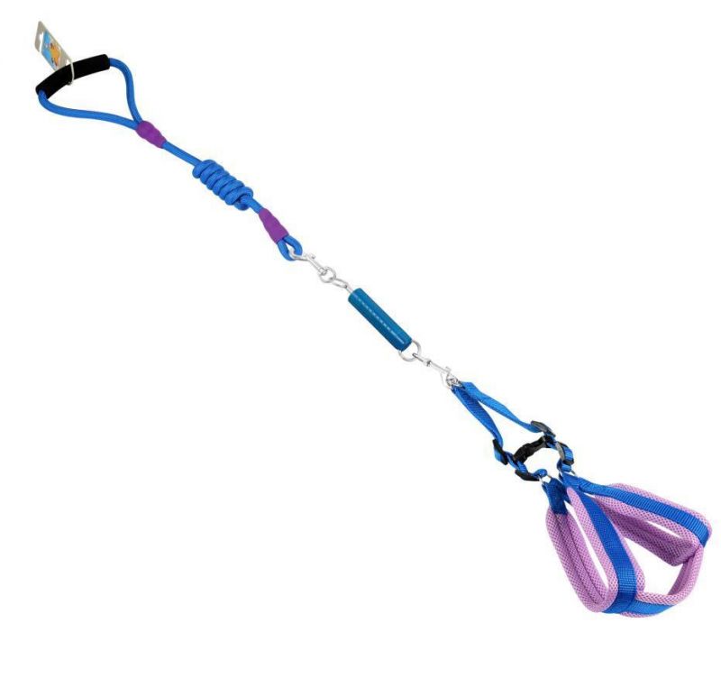 Dog Leash Shock Absorbing Spring Swing Extension Spring Tightening Springs