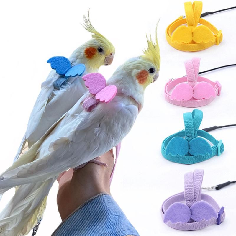 Pet Parrot Flying Rope Peony Parrot Xuanfeng Parrot