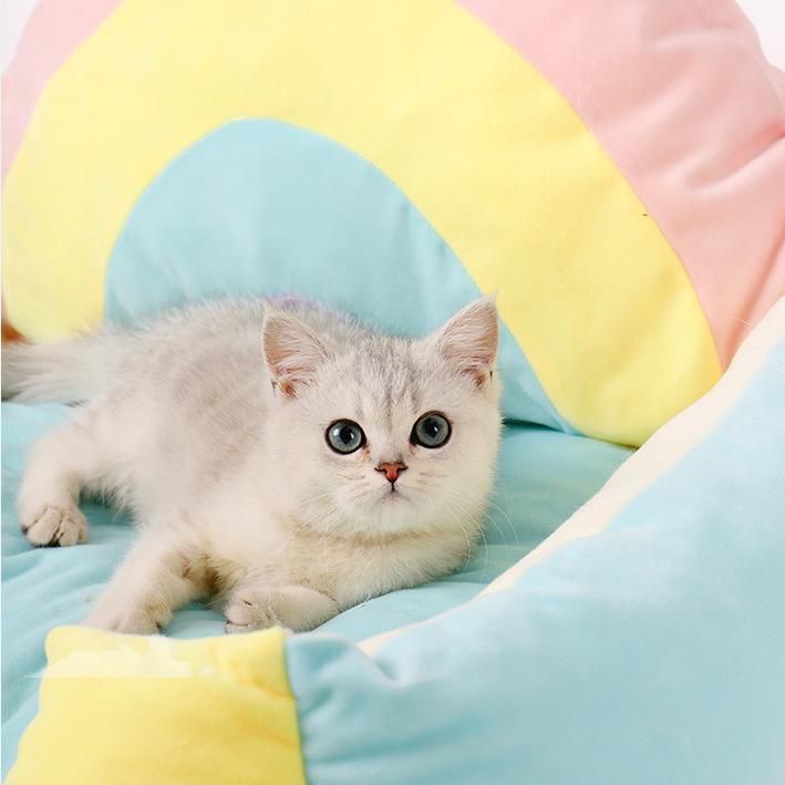 Wholesale Small Colorful Warm Pet Cat Sofa Rainbow Cozy Dog Sofa Bed with Cushion