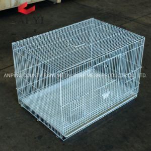 Chinese Style Budgie Breeding Bird Cage for Sale