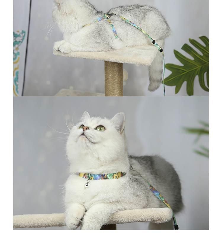 Cozy Adjustable Customized Nylon for Cats Rabbit Kitten Kedi Harness Leash Set