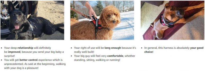 Hassle Free Soft Padded Mesh Breathable Large Dog Accessories, Dog Harness
