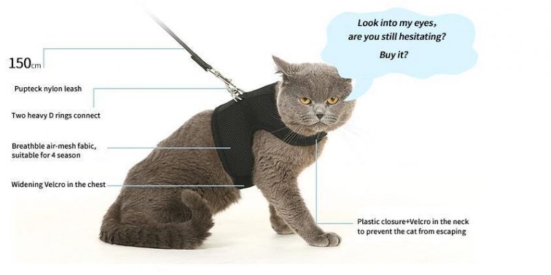 Breathable Mesh No Pull Adjustable Escape Proof Cute Small Cat Dog Harness and Leash
