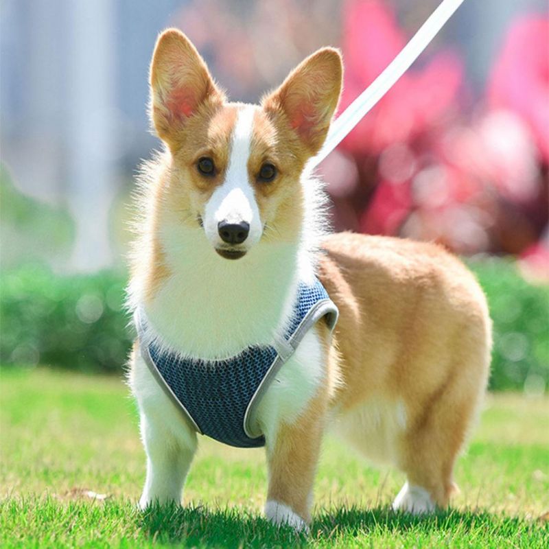 Soft Padded Breathable Dog Harness for Small Medium Dog Cat