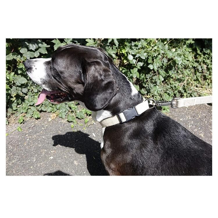 Durable Premium Hemp Organic Dog Collar Adjustable Quickly Release Plastic Buckle Pet Dog Cat Collar