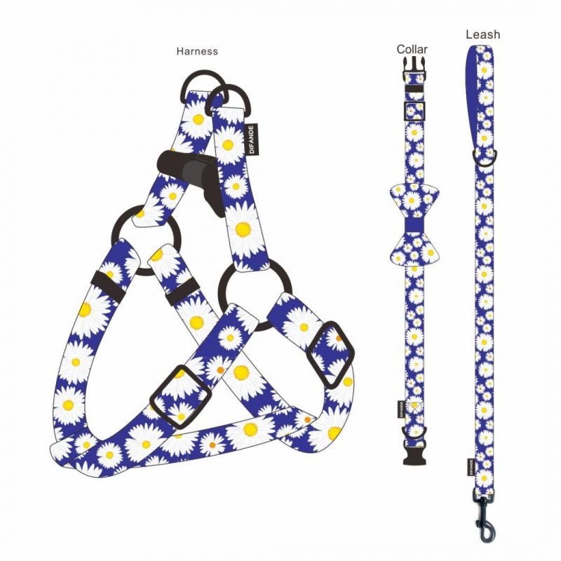 Hot Sale Color Round Rope Chest Strap Durable Nylon Belt Color Dog Leash and Harness Pet Leash Set