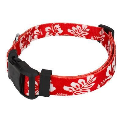 Wholesale Amazon Hot Sale Adjustable Colored Dog Collar