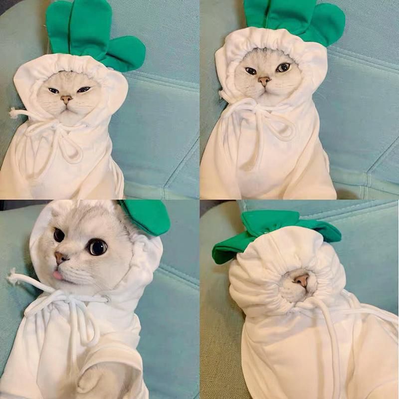 Small Cat Costume Pet Accessories Dog Hoodies Fruit Clothes