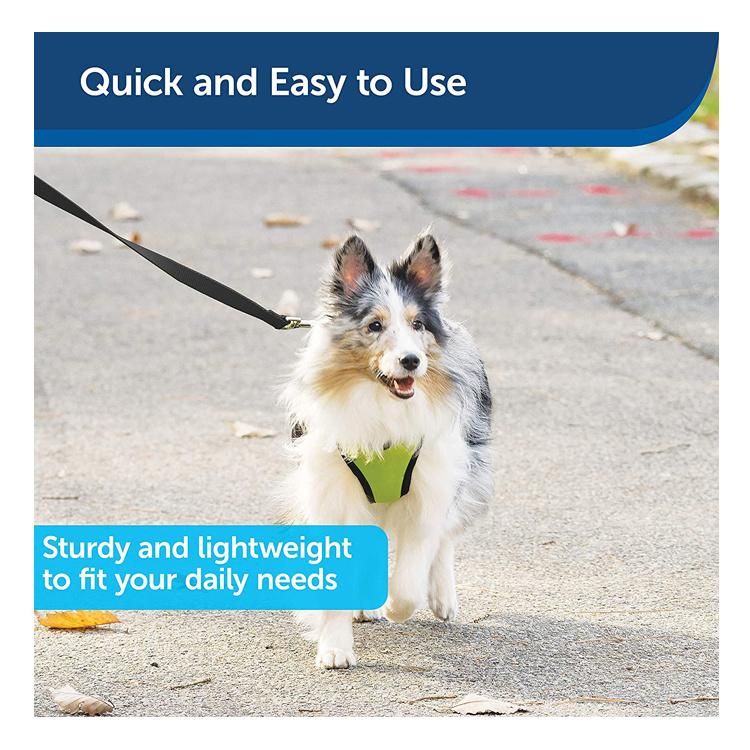 Simple Design Durable Strong Nylon Pet Dog Leash
