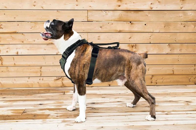 Customized Adjustable Service Dog Harness Training Vest with Handle for Puppy Small Medium Large Dogs