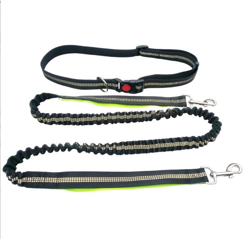 Dog for Running Walking Elastic Reflective Bungee Rope Dogs Leashes New Pet Hands Free Dog Leash Running Rope