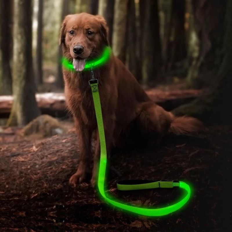 USB Rechargeable 47.2 Inch 120 Cm Reflective Night Safety Pet Leash