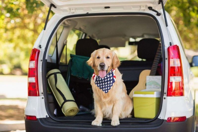 USA/UK/France Flag W/Jacquard Weave Fabric Detachable Bow Tie Dog Bandana