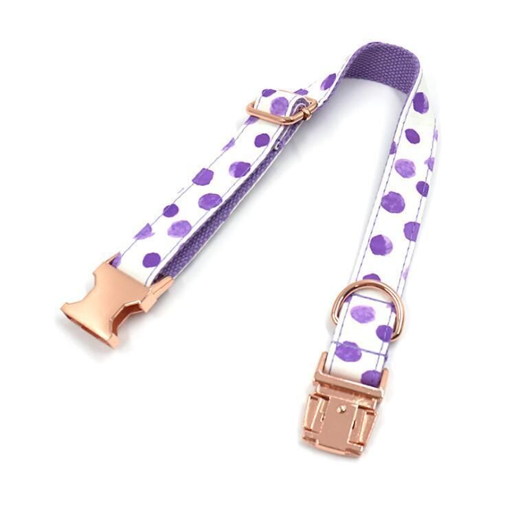 Fast Delivery of Pattern DOT Dog Collar and Leash Set