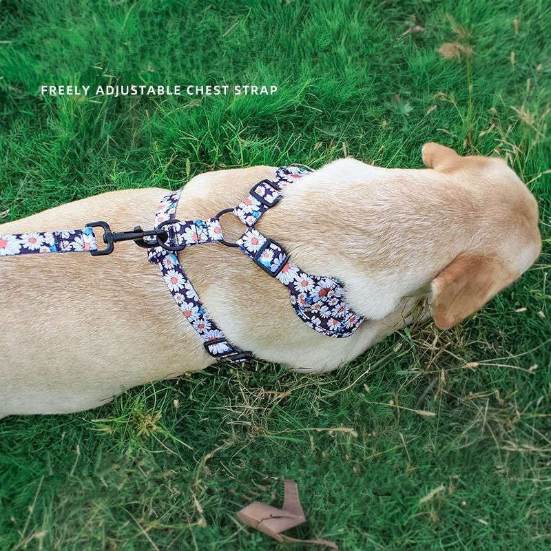 OEM Luxury Designer Pattern Reversible No Pull Custom Dog Harness Set Cat Pet Collar Leash Leads Step in Adjustable Dog Harness