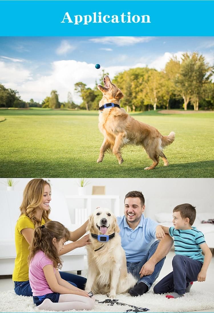 Dog / Pets GPS Tracker Collar Customized New Design Dog Collar