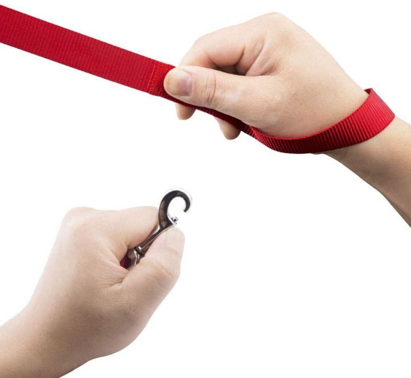 Classic Solid Colors Dog Collar and Leash Set