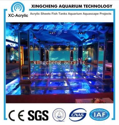 Transparent PMMA Sheet Aquarium of Aquarium Project