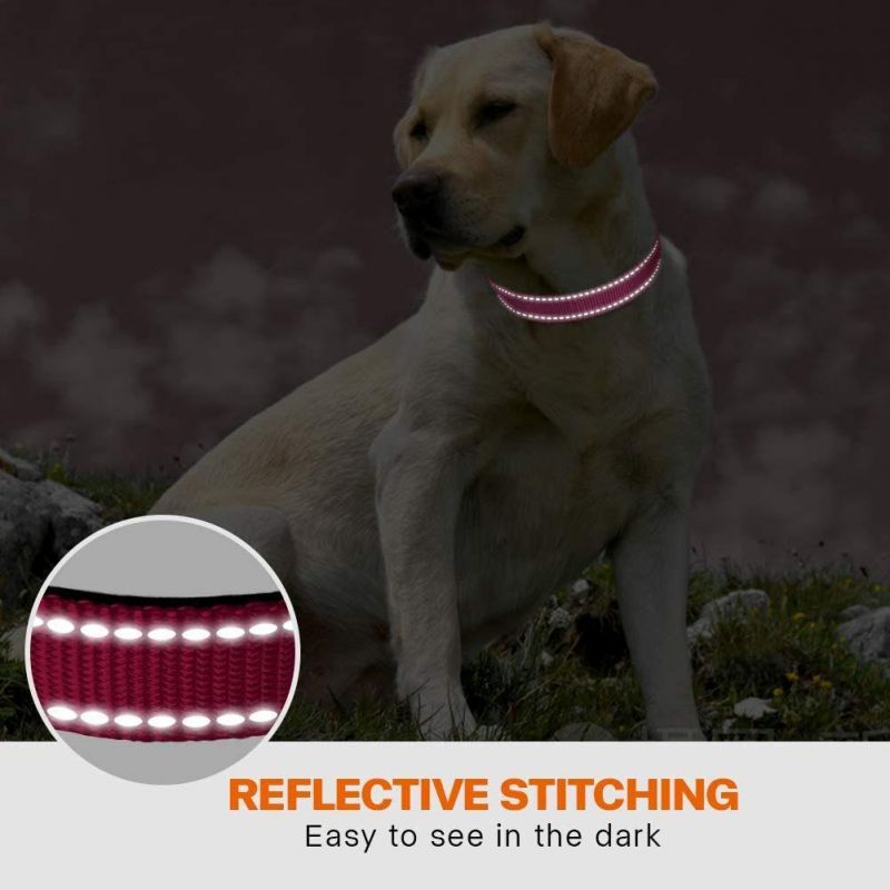 Soft Neoprene Padded Adjustable Dog Collar with Safety Locking Buckle