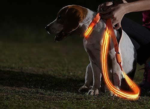 Dog Visible, Safe & Seen LED Dog Collar