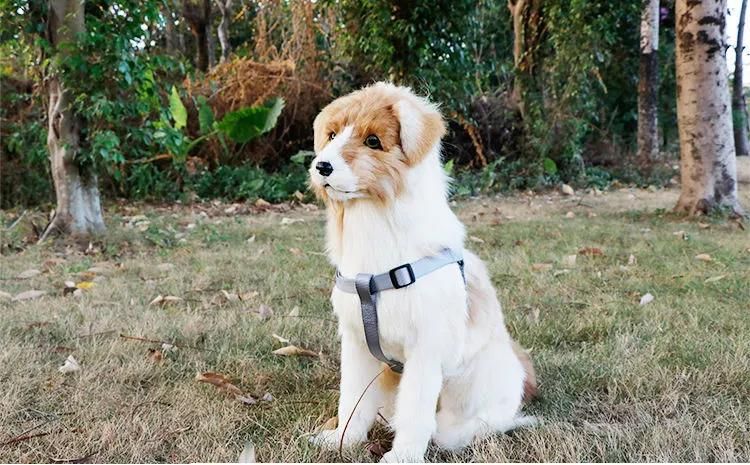 Amazon High Quality Outdoor Triangle Style Nylon Webbing Dog Harness, Colorful Adjustable Custom Logo Dog Harness