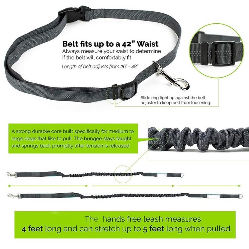 Flexi Leash 360 Easy-Glide Belt Slip Lead Dual Handle Bungee Dog Leash