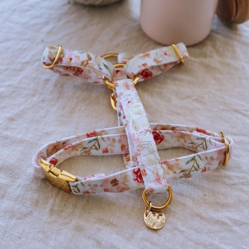 2022 Manufacturers Pet Harness Vest Set Custom Design Adjustable Reversible Step in Dog Harness with Dog Collar Leash Bandana