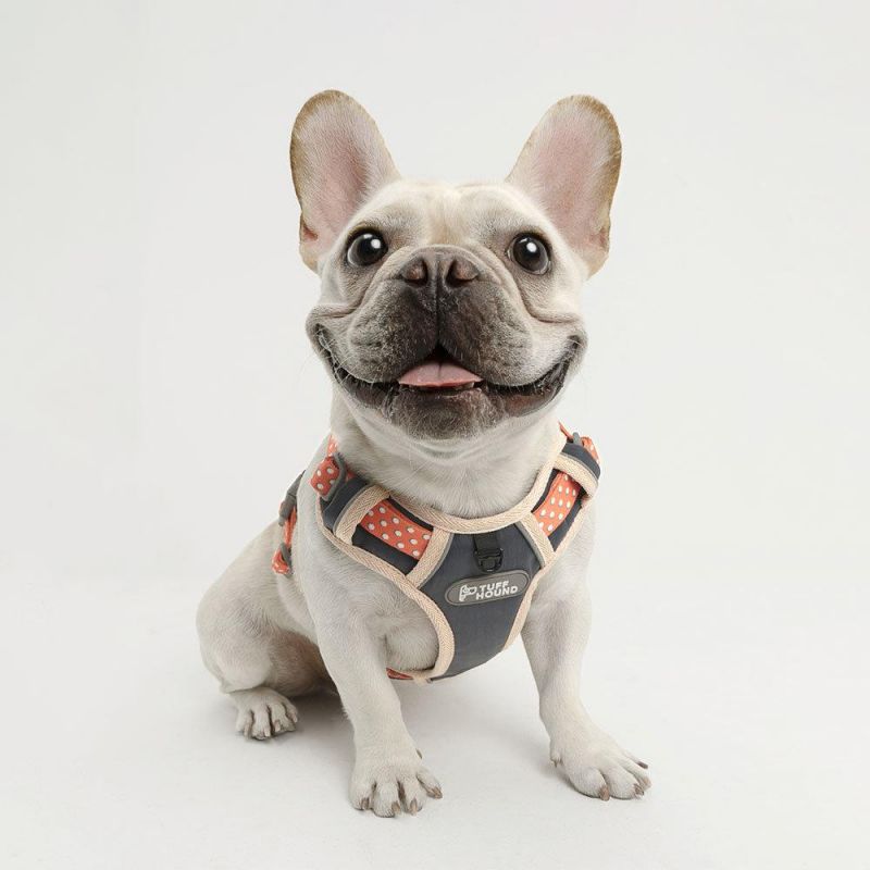 Guarantee Warranty Colourful Supply Cheap Price Dog Harness Supply