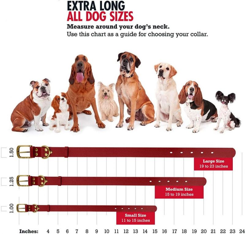 Lightweight Flexible and Comfortable Waterproof Dog Collar