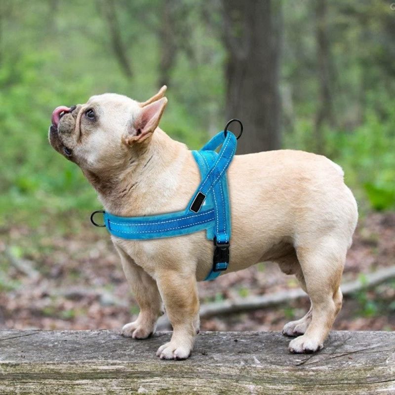 Easy for Walking Training Soft Velvet Dog Harness