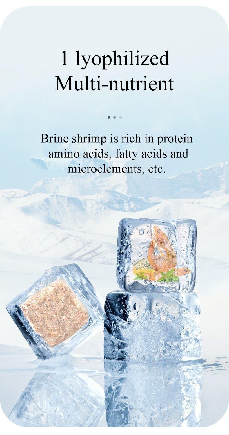Yee Vacuum Freeze-Drying Natural Bloodworm High Protein Fish Nutrition Food