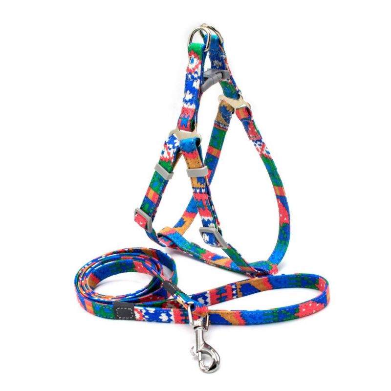 Bohemia Design Dog Leash and Back Set